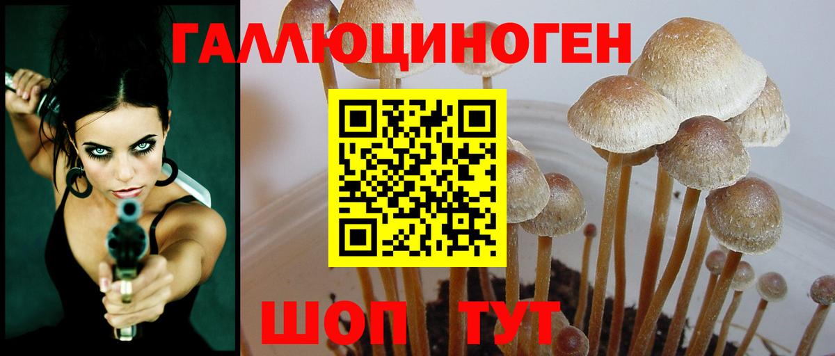 Тавда  Псилоцибиновые грибы прущие грибы  Вход с VPN 